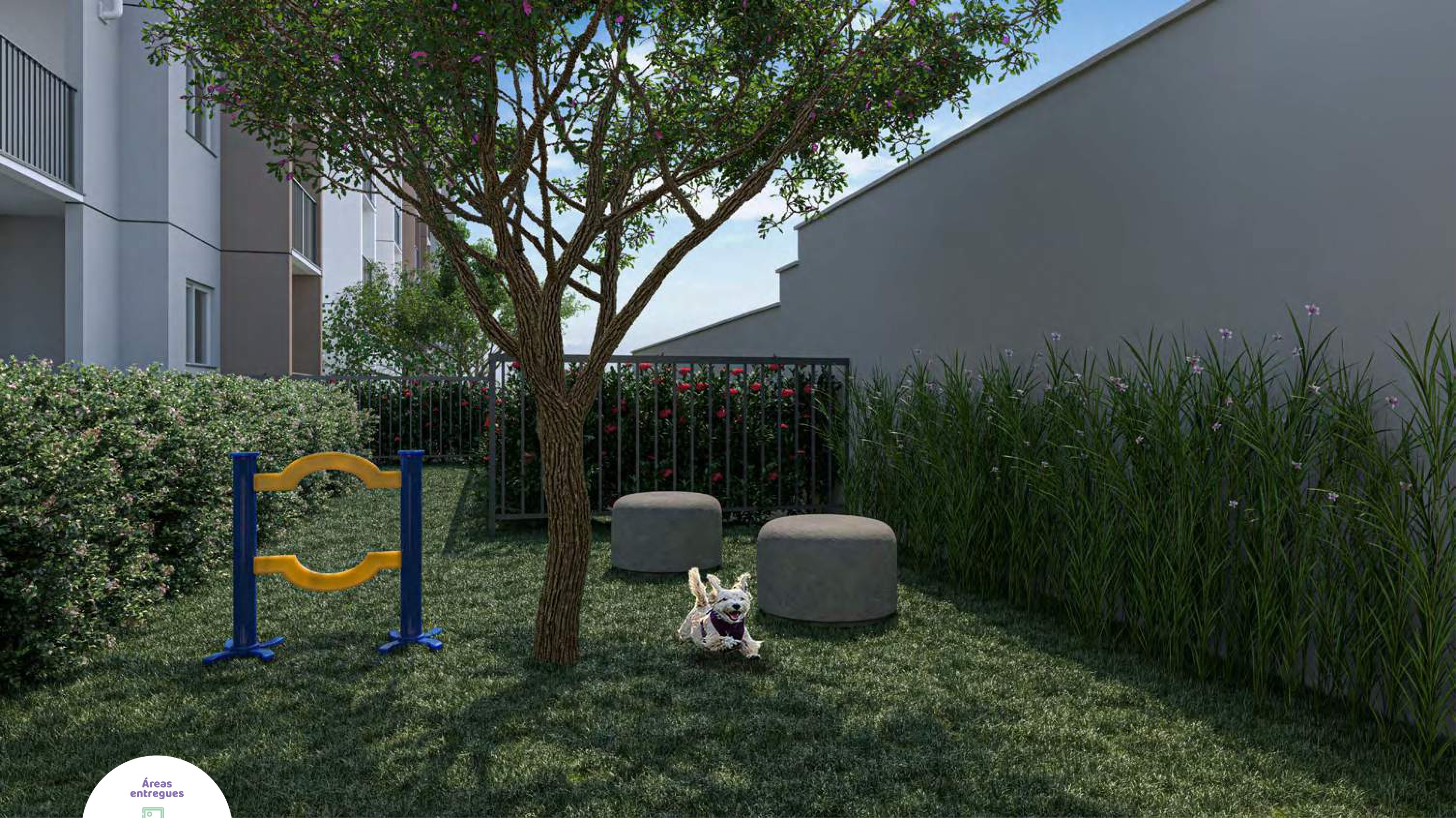 Pet place